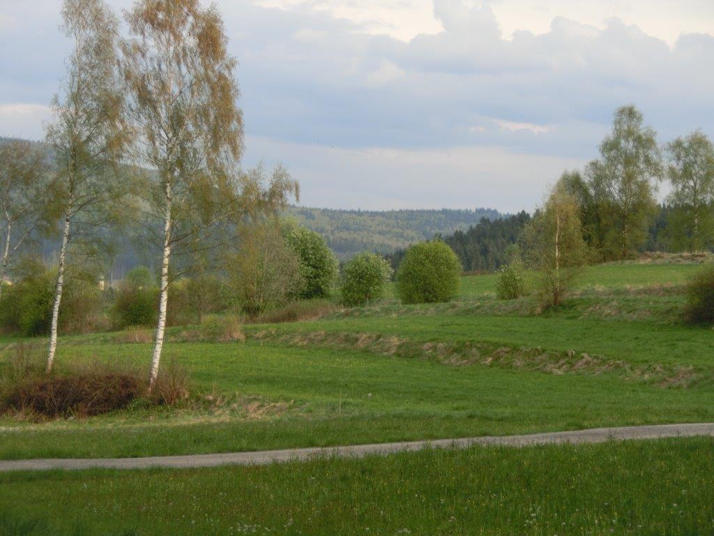 Pension Fohlenhof Фрауенау Екстер'єр фото
